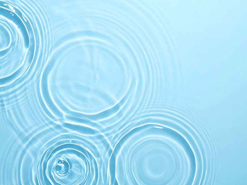 Professional wellness support